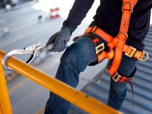 Fall Protection Training